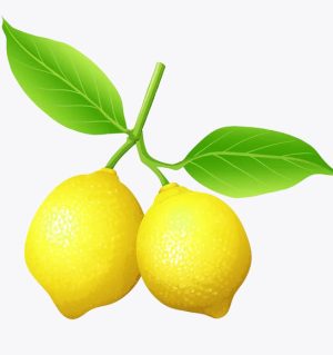 Fresh key Lime